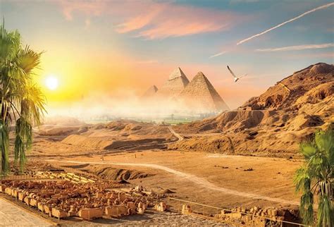 cairo bus tours|Israel.